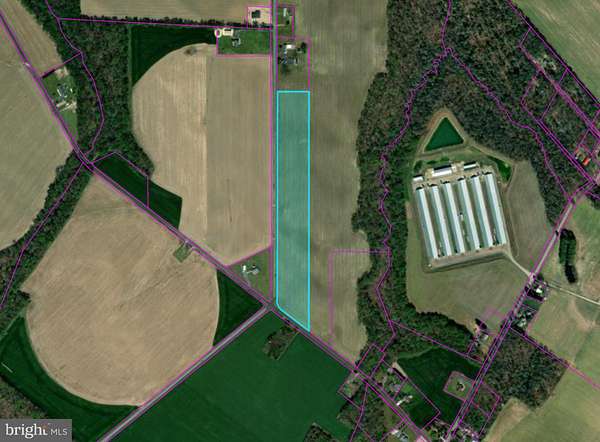 14.1 Acres of Agricultural Land for Sale in Milford, Delaware