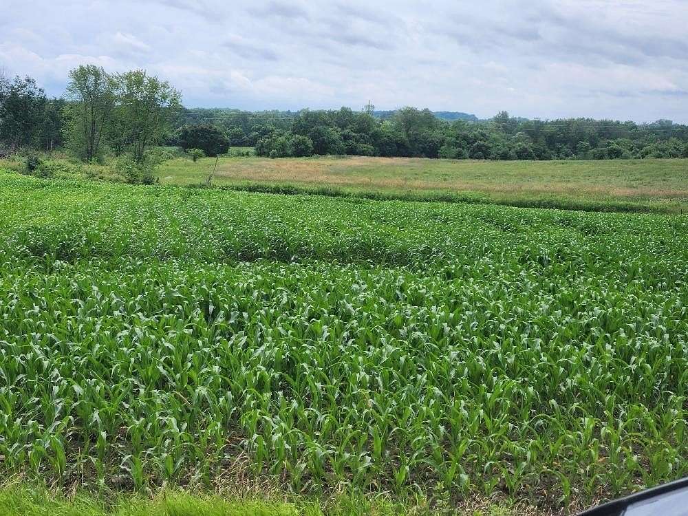 26 Acres of Agricultural Land for Sale in Cadott, Wisconsin