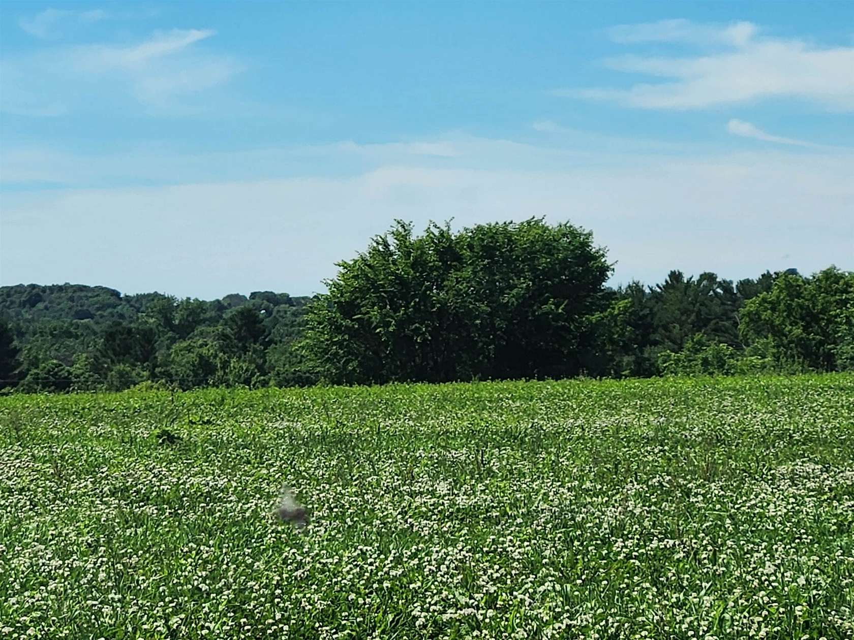 26 Acres of Agricultural Land for Sale in Cadott, Wisconsin