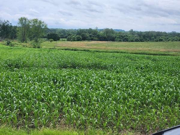 26 Acres of Agricultural Land for Sale in Cadott, Wisconsin