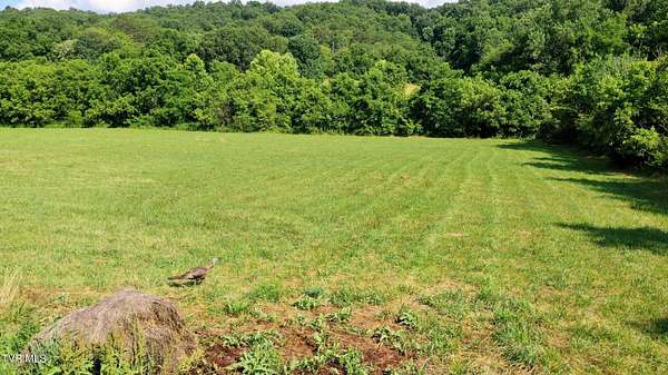 18.4 Acres of Land for Sale in Bulls Gap, Tennessee