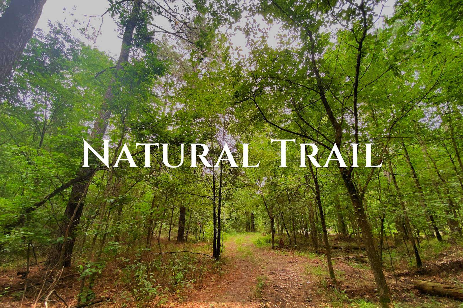 1.3 Acres of Land for Sale in Broken Bow, Oklahoma