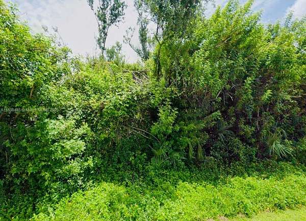 0.23 Acres of Land for Sale in Port Charlotte, Florida