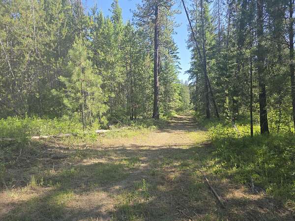 2,200 Acres of Land for Sale in Loon Lake, Washington