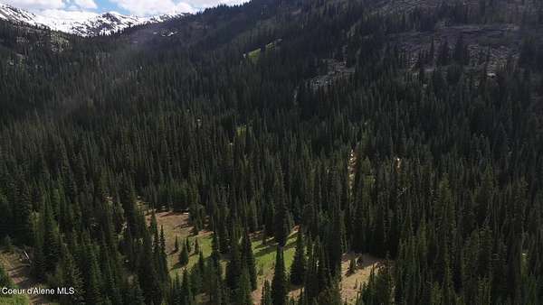 320 Acres of Recreational Land for Sale in Lowell, Idaho