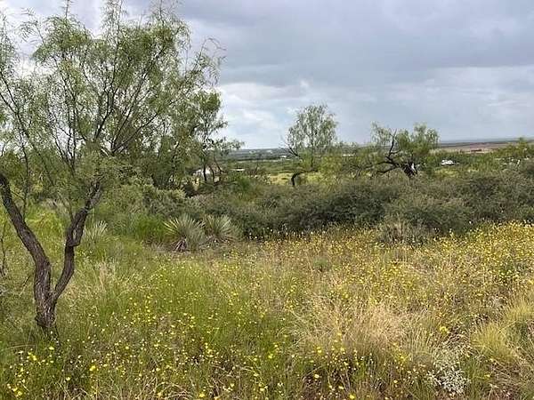 12.6 Acres of Land for Sale in Merkel, Texas