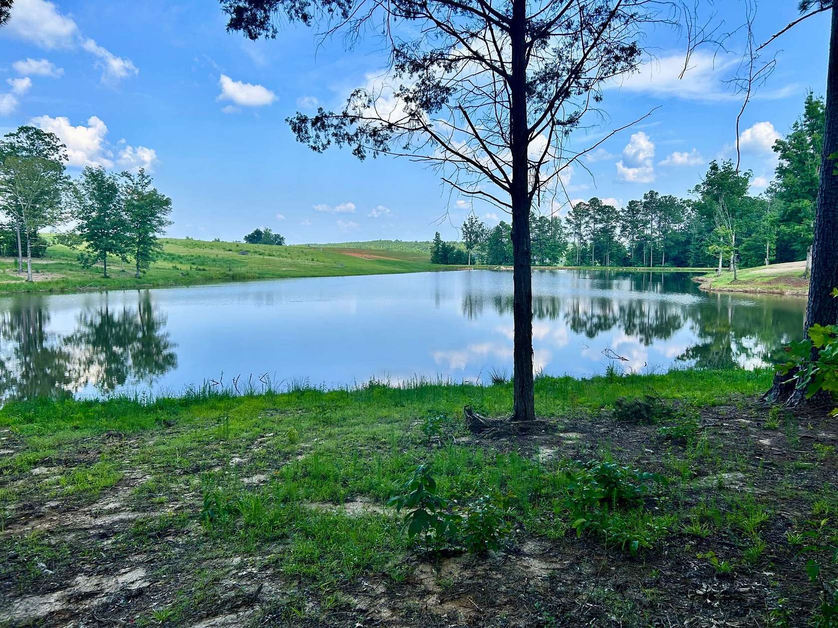 60 Acres of Recreational Land & Farm for Sale in Carrollton, Alabama