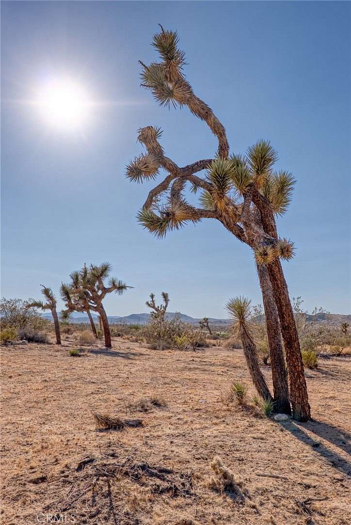 1.25 Acres of Residential Land for Sale in Joshua Tree, California
