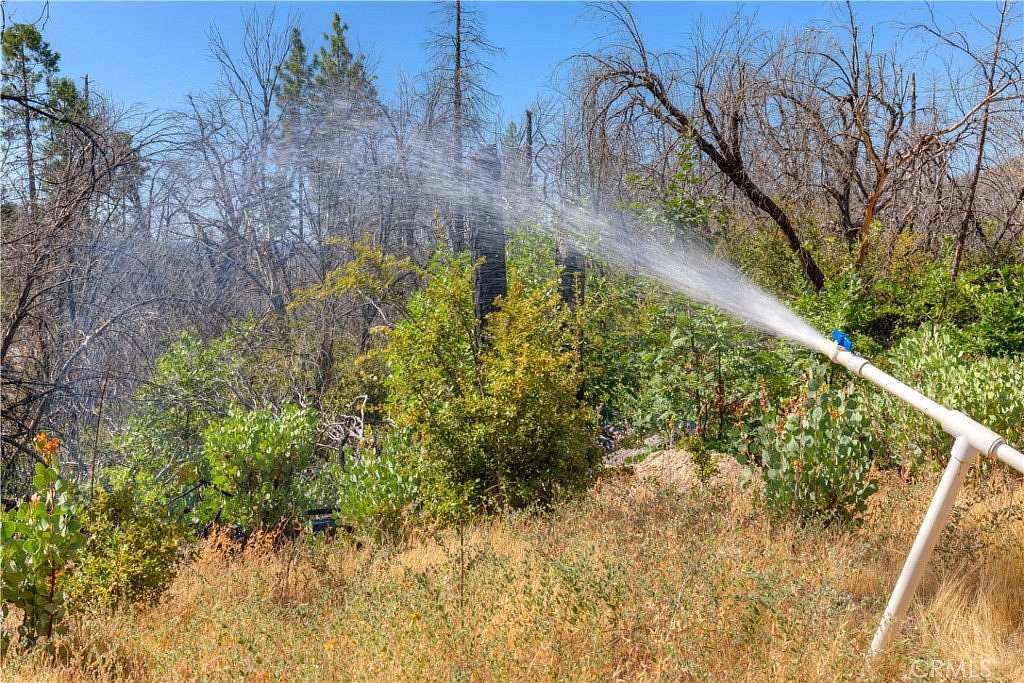 41.5 Acres of Land for Sale in Berry Creek, California