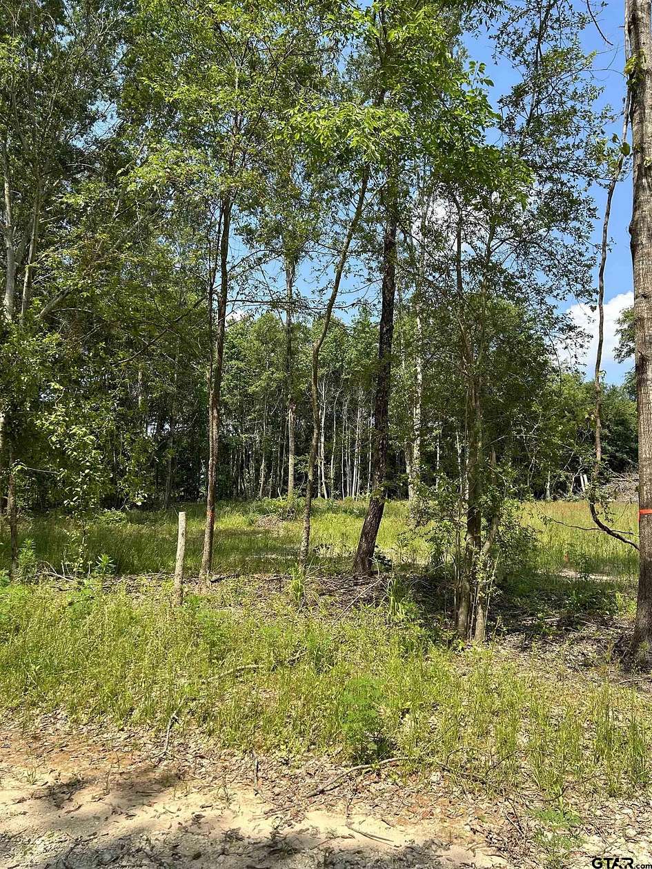 3 Acres of Residential Land for Sale in Rusk, Texas