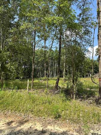 3 Acres of Residential Land for Sale in Rusk, Texas