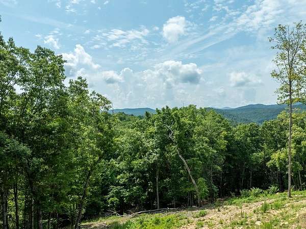 1 Acre of Land for Sale in Blue Ridge, Georgia
