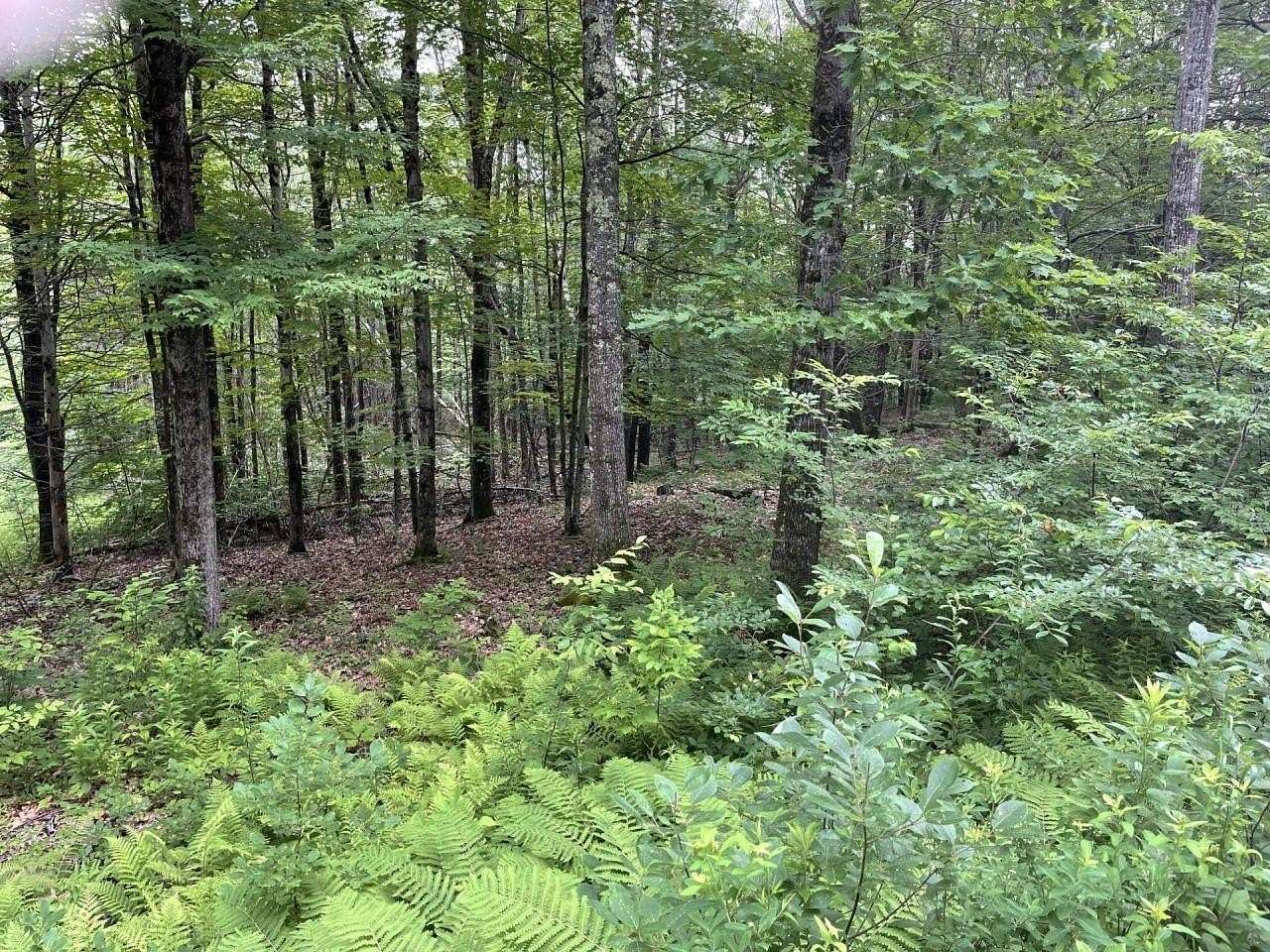 11.4 Acres of Recreational Land for Sale in Barnstead, New Hampshire