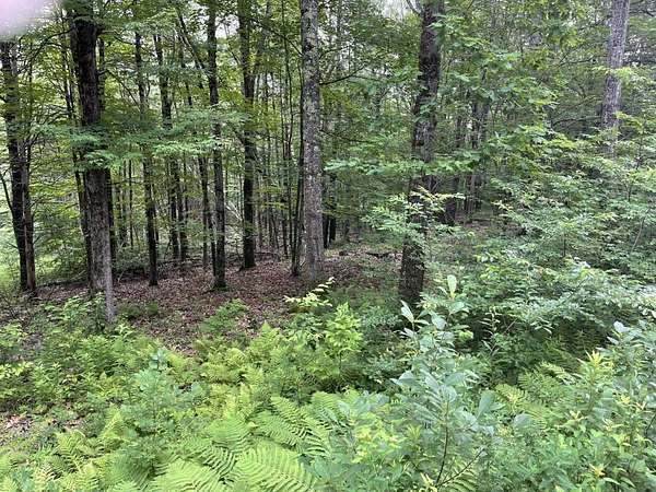 11.4 Acres of Recreational Land for Sale in Barnstead, New Hampshire