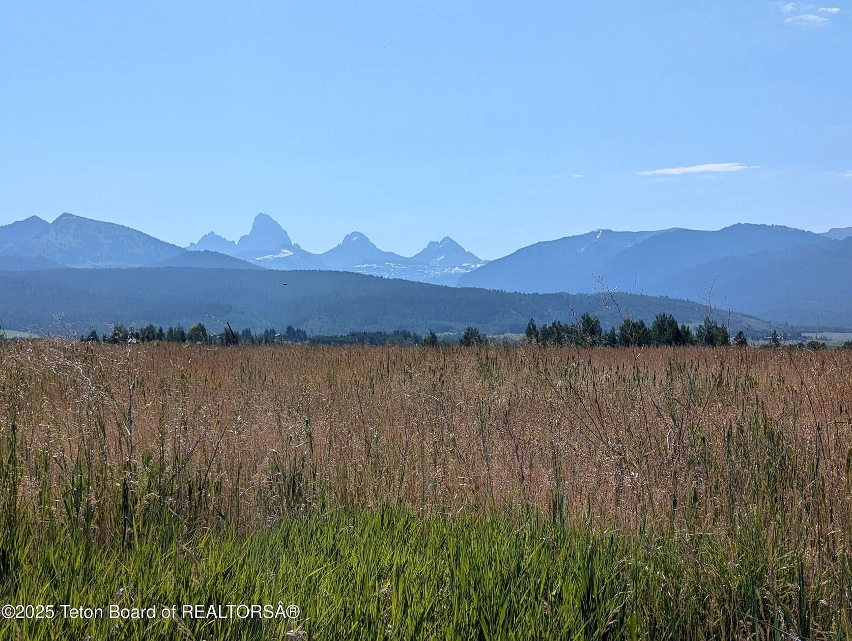 1 Acre of Land for Sale in Driggs, Idaho