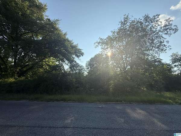 0.61 Acres of Residential Land for Sale in Sylacauga, Alabama