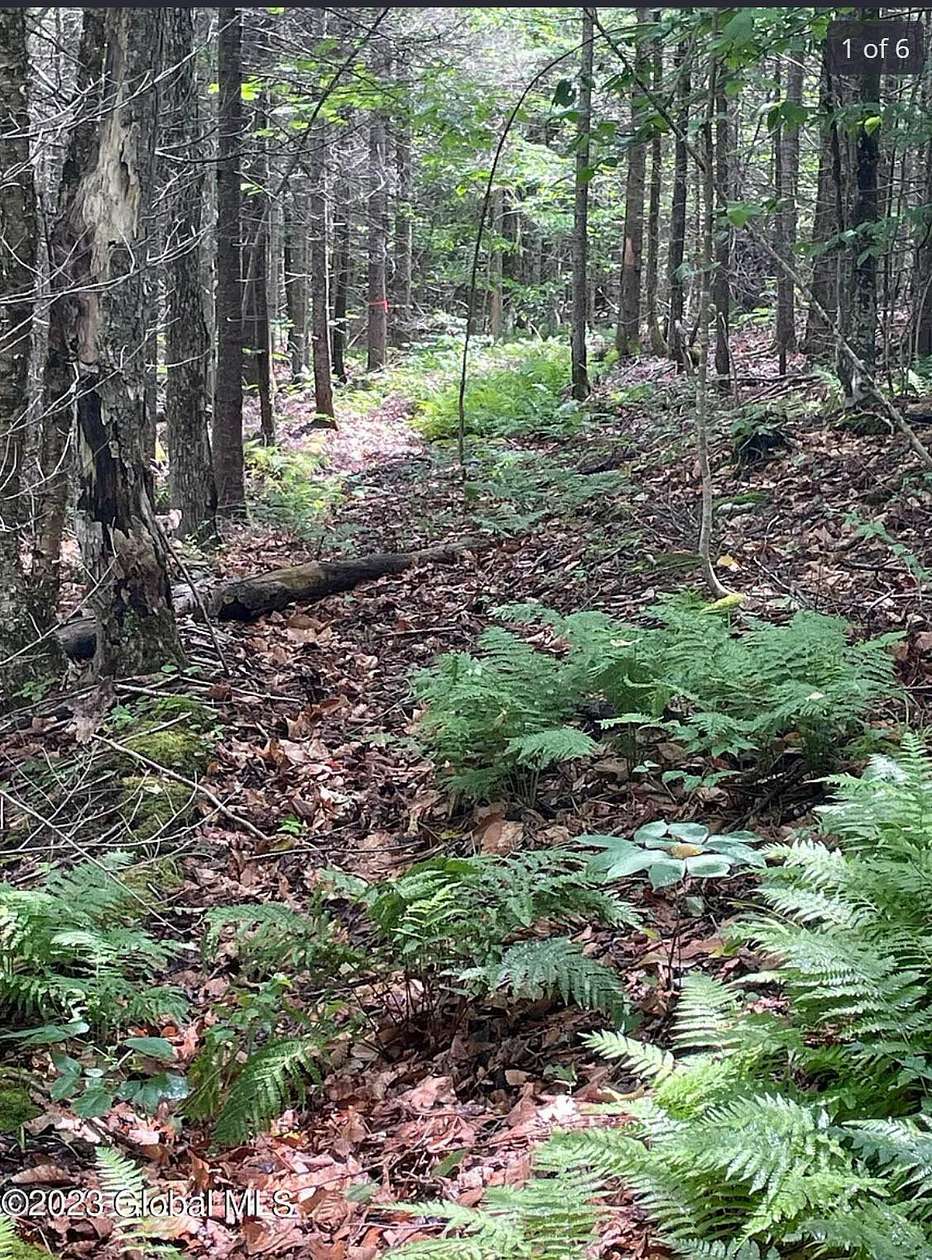 0.95 Acres of Residential Land for Sale in Indian Lake, New York