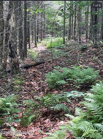 0.95 Acres of Residential Land for Sale in Indian Lake, New York