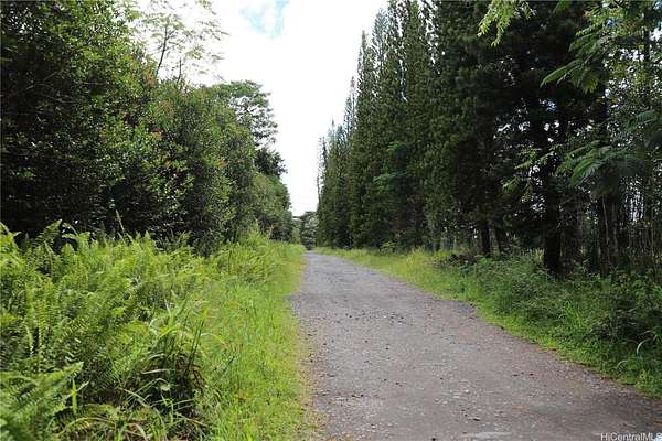 10 Acres of Land for Sale in Kurtistown, Hawaii
