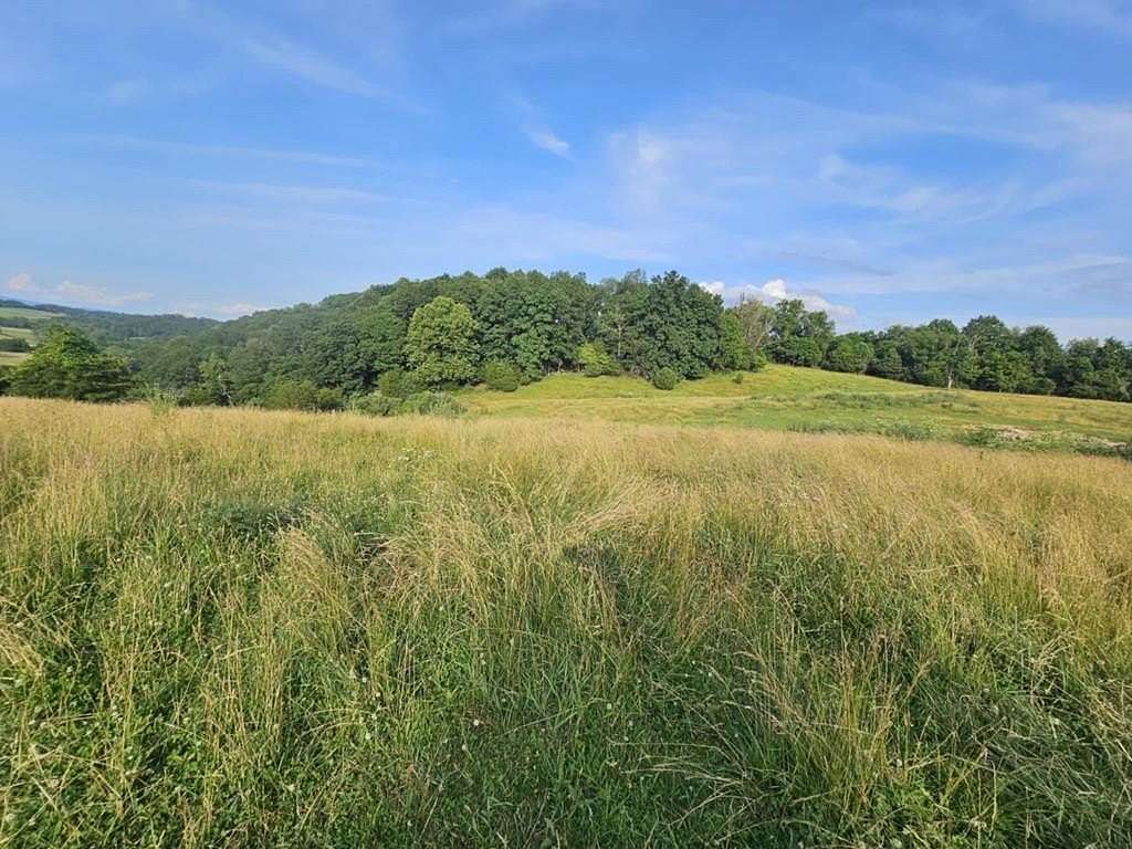 61.9 Acres of Land for Sale in Glade Spring, Virginia