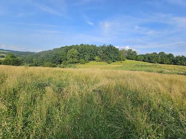 61.9 Acres of Land for Sale in Glade Spring, Virginia