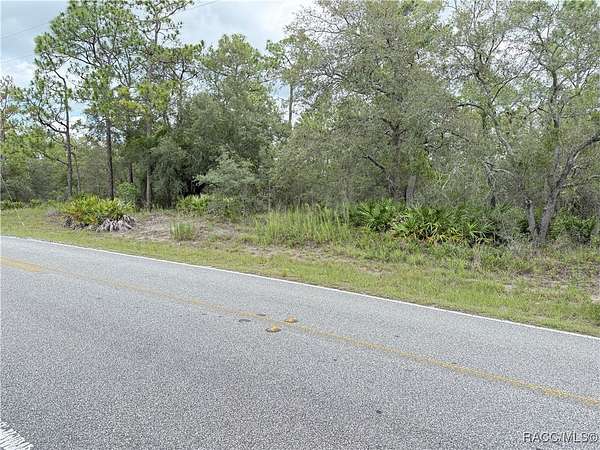1.66 Acres of Residential Land for Sale in Weeki Wachee, Florida