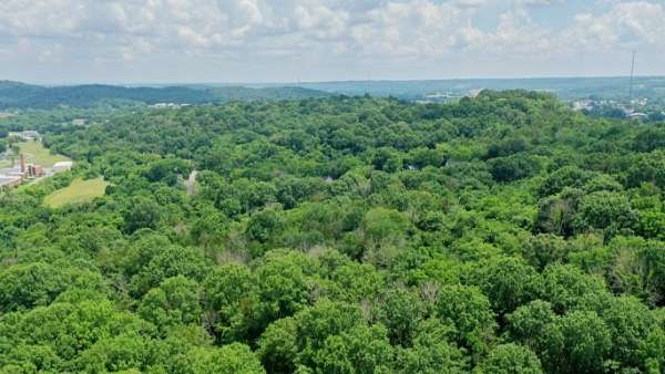 99.6 Acres of Land for Sale in Fayetteville, Tennessee