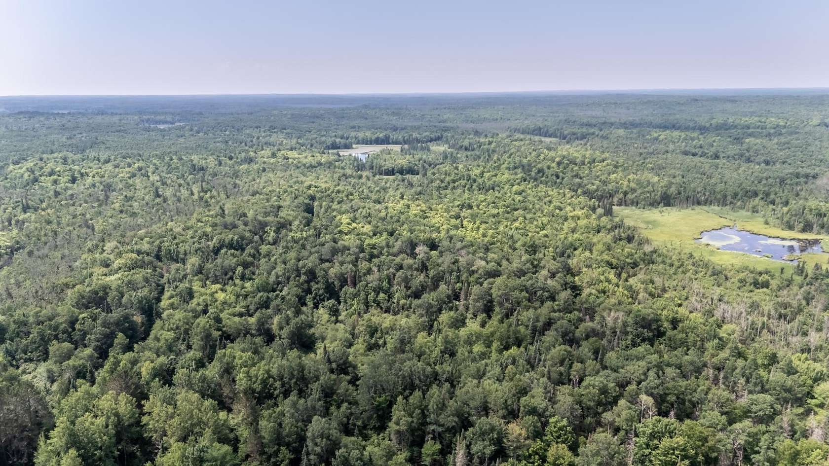 400 Acres of Recreational Land for Sale in Carey Town, Wisconsin