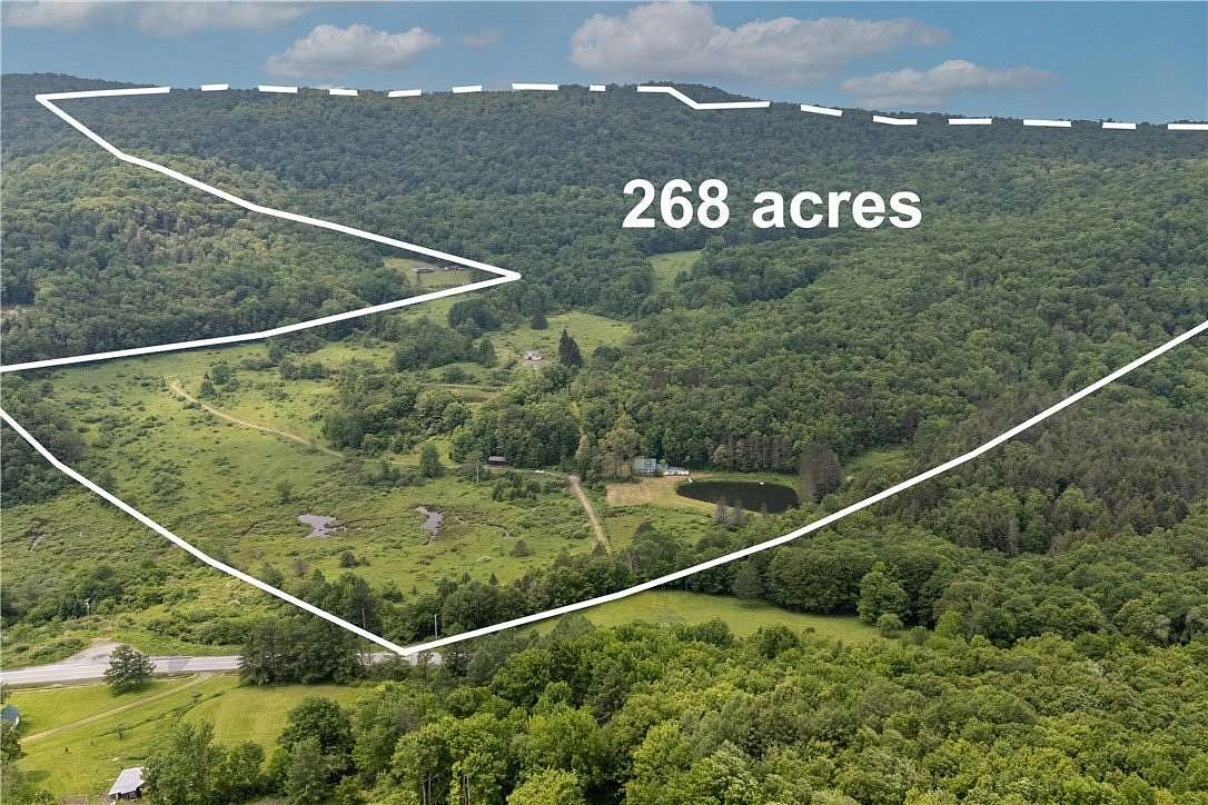 268 Acres of Land with Home for Sale in Hamden, New York