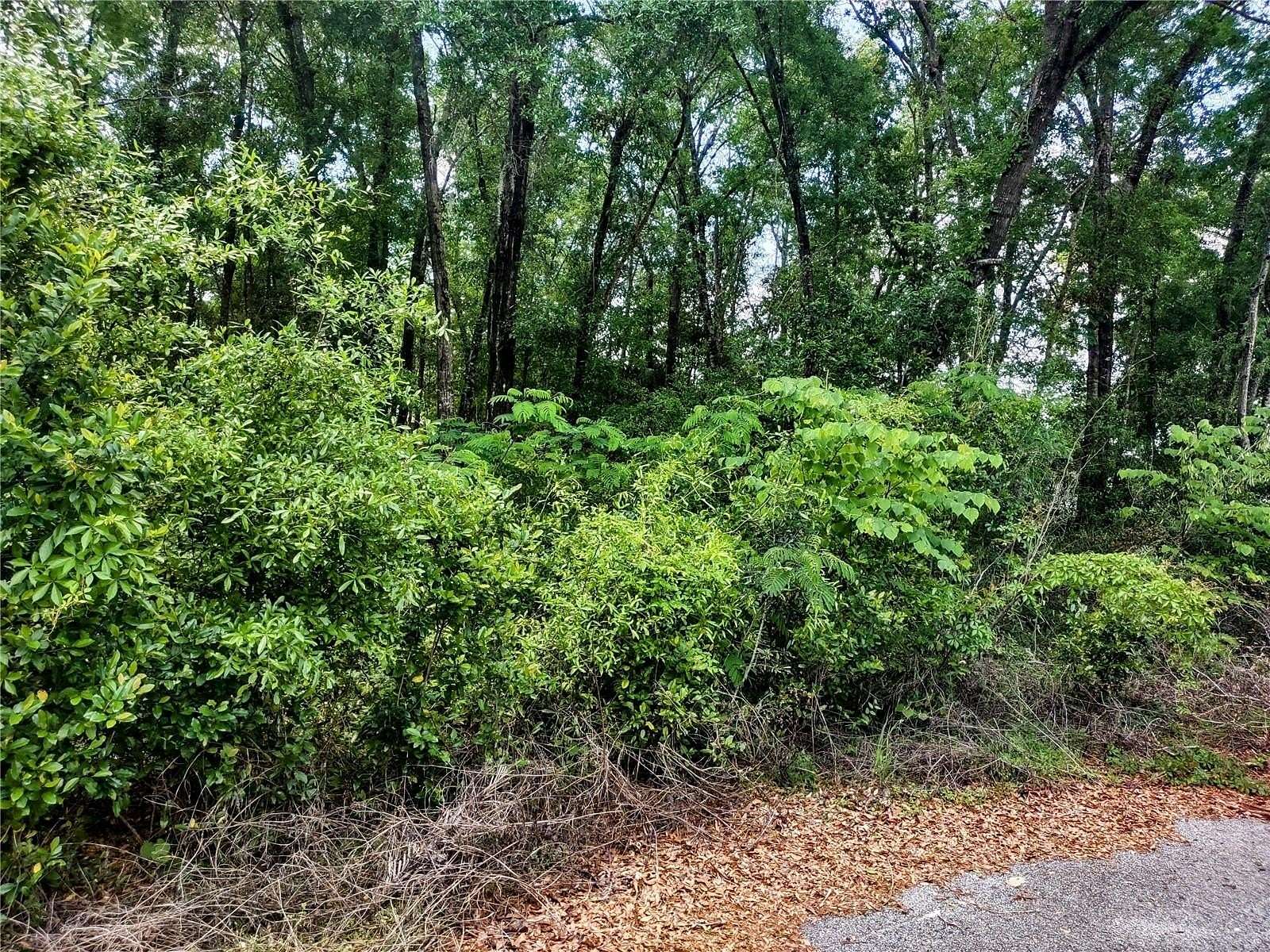 0.23 Acres of Residential Land for Sale in Williston, Florida