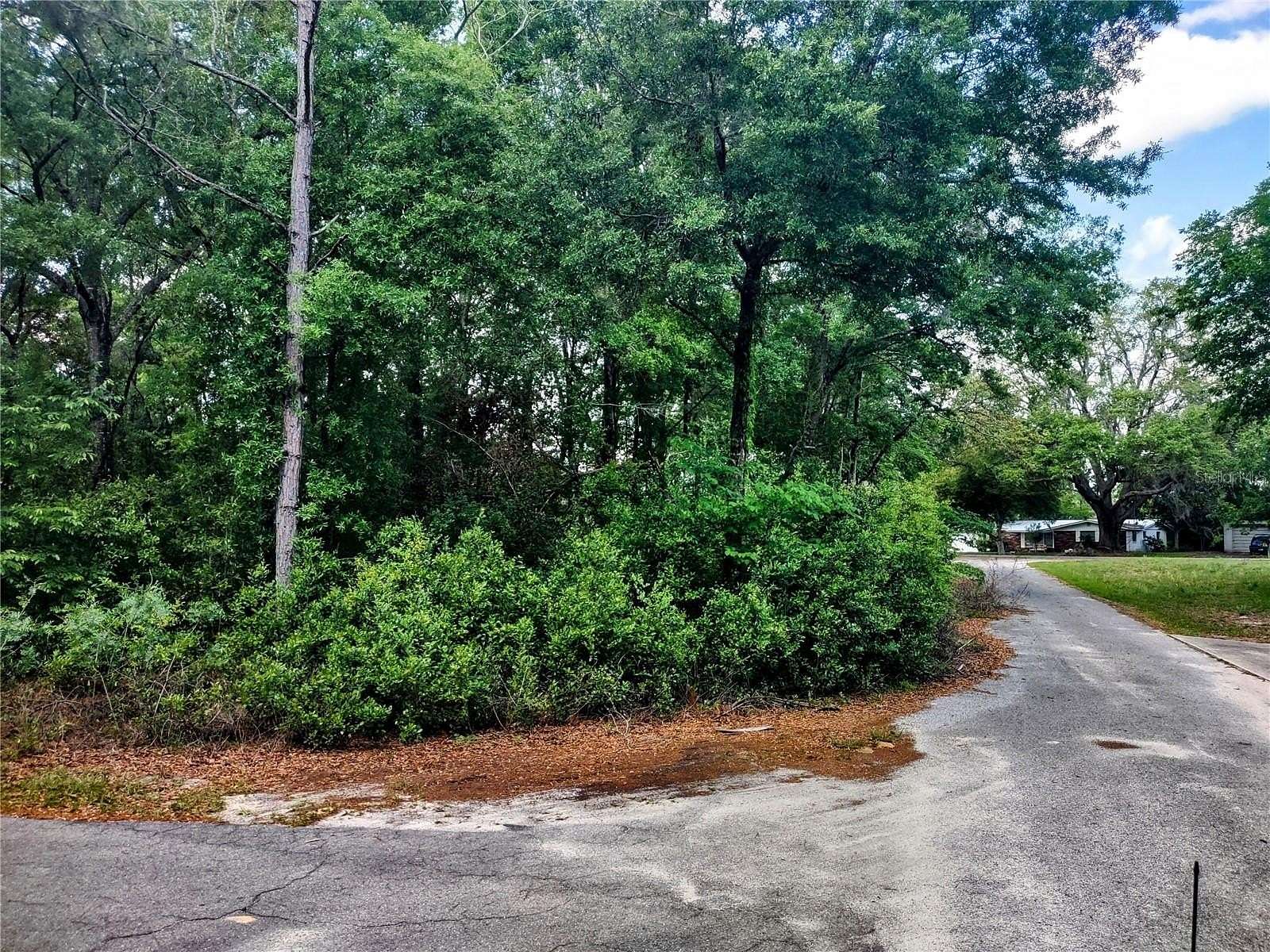 0.3 Acres of Residential Land for Sale in Williston, Florida