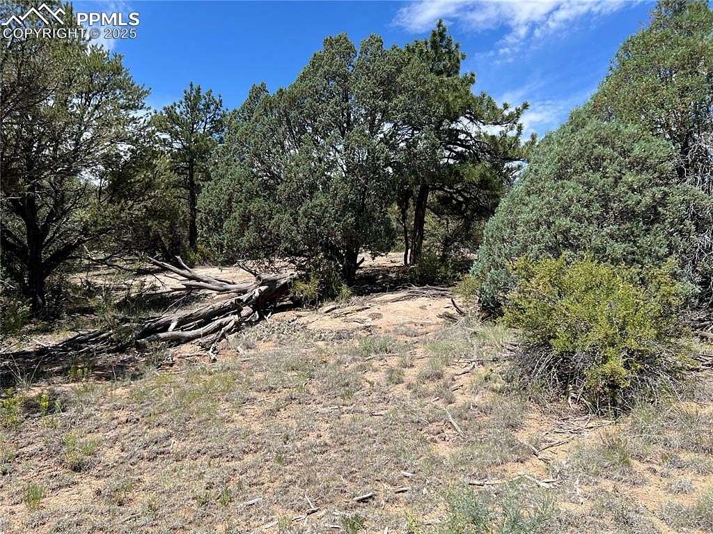 2.17 Acres of Residential Land for Sale in Cotopaxi, Colorado