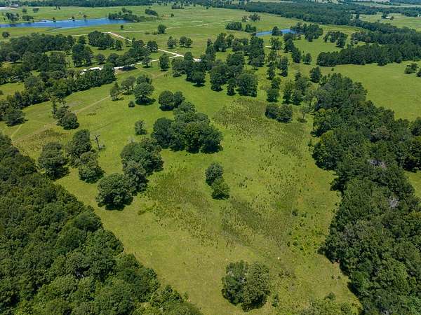 10 Acres of Land for Sale in Crockett, Texas
