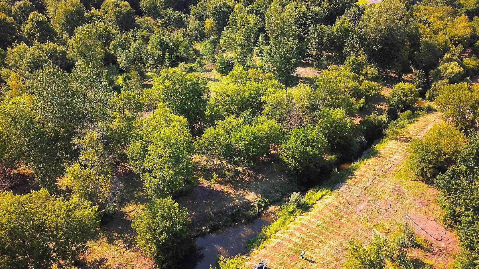 10 Acres of Recreational Land for Sale in Holland, Michigan