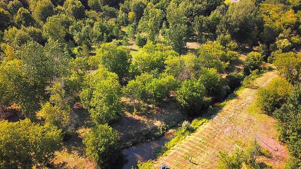 10 Acres of Recreational Land for Sale in Holland, Michigan