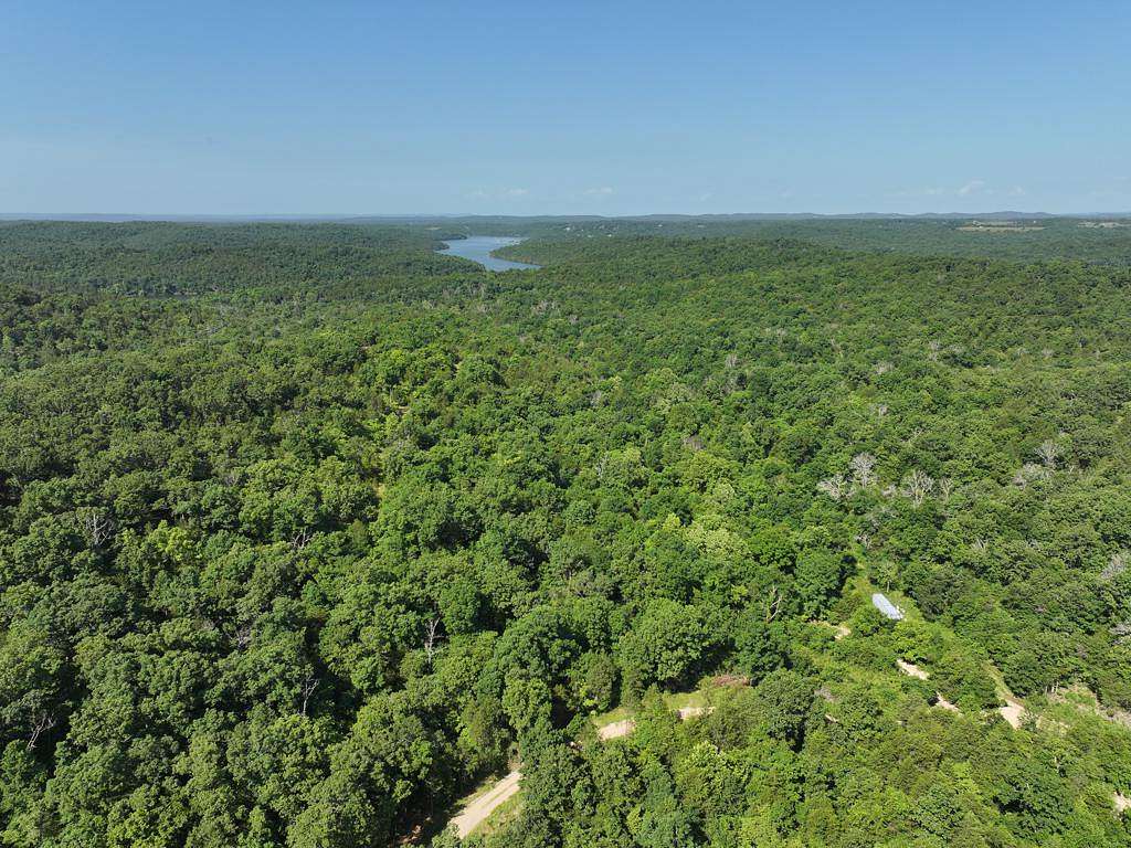 40 Acres of Land for Sale in Gainesville, Missouri
