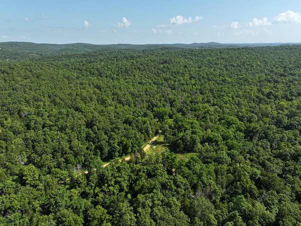 40 Acres of Land for Sale in Gainesville, Missouri