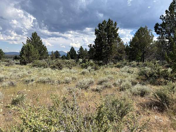 156 Acres of Recreational Land for Sale in Sprague River, Oregon