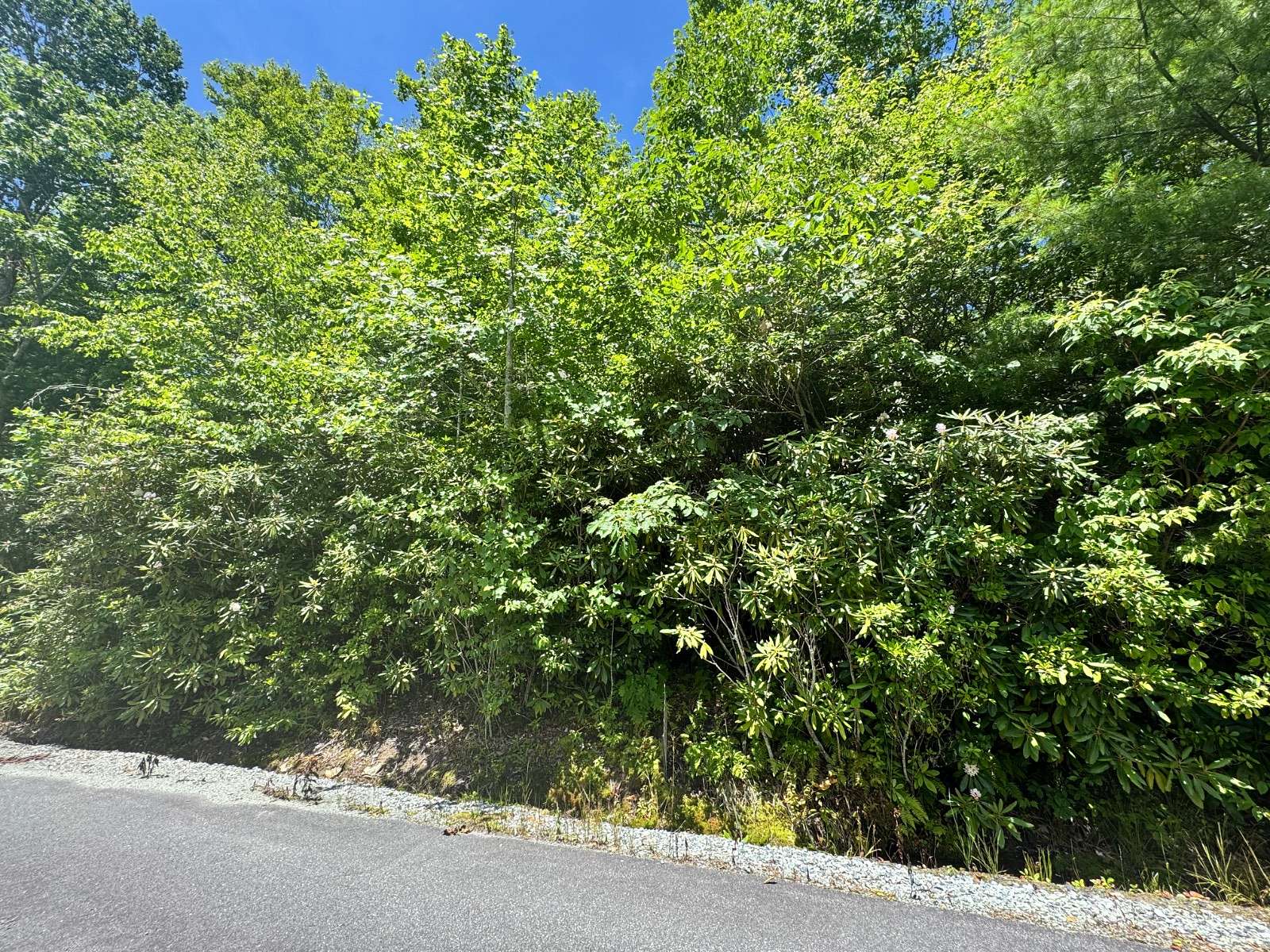 1.42 Acres of Land for Sale in Jonas Ridge, North Carolina