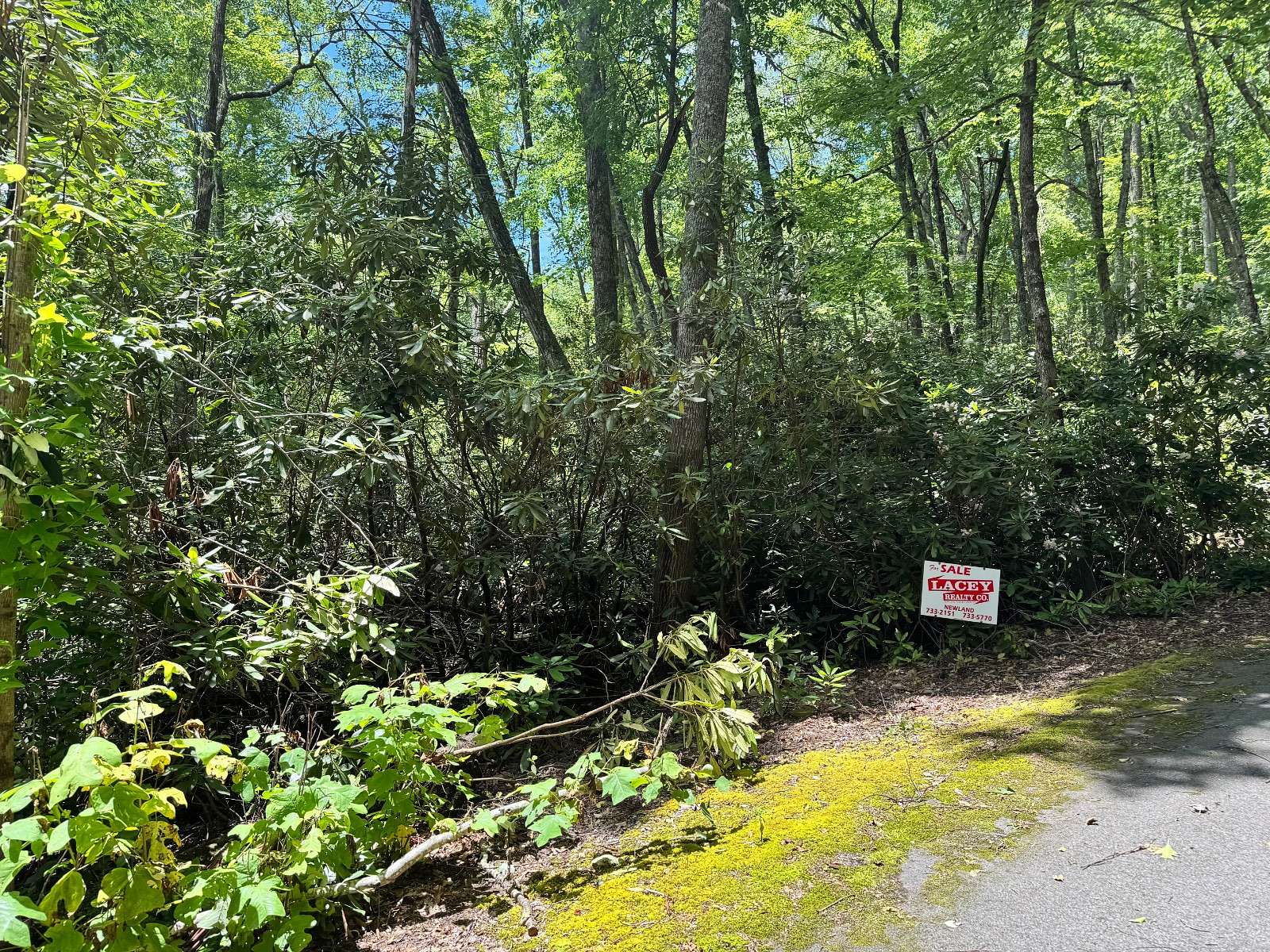 1.1 Acres of Land for Sale in Jonas Ridge, North Carolina