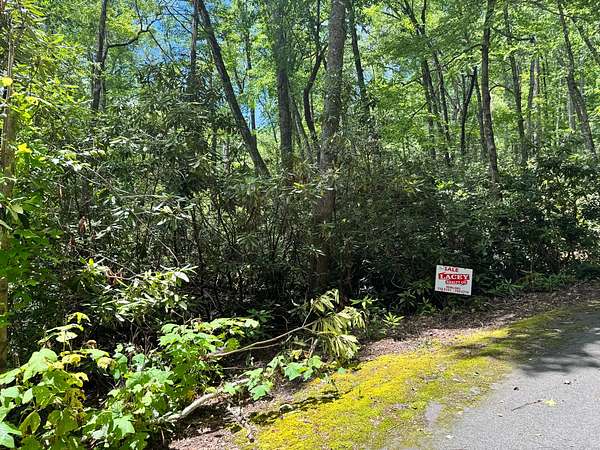 1.1 Acres of Land for Sale in Jonas Ridge, North Carolina