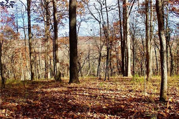 62.7 Acres of Recreational Land for Sale in Huntsville, Arkansas