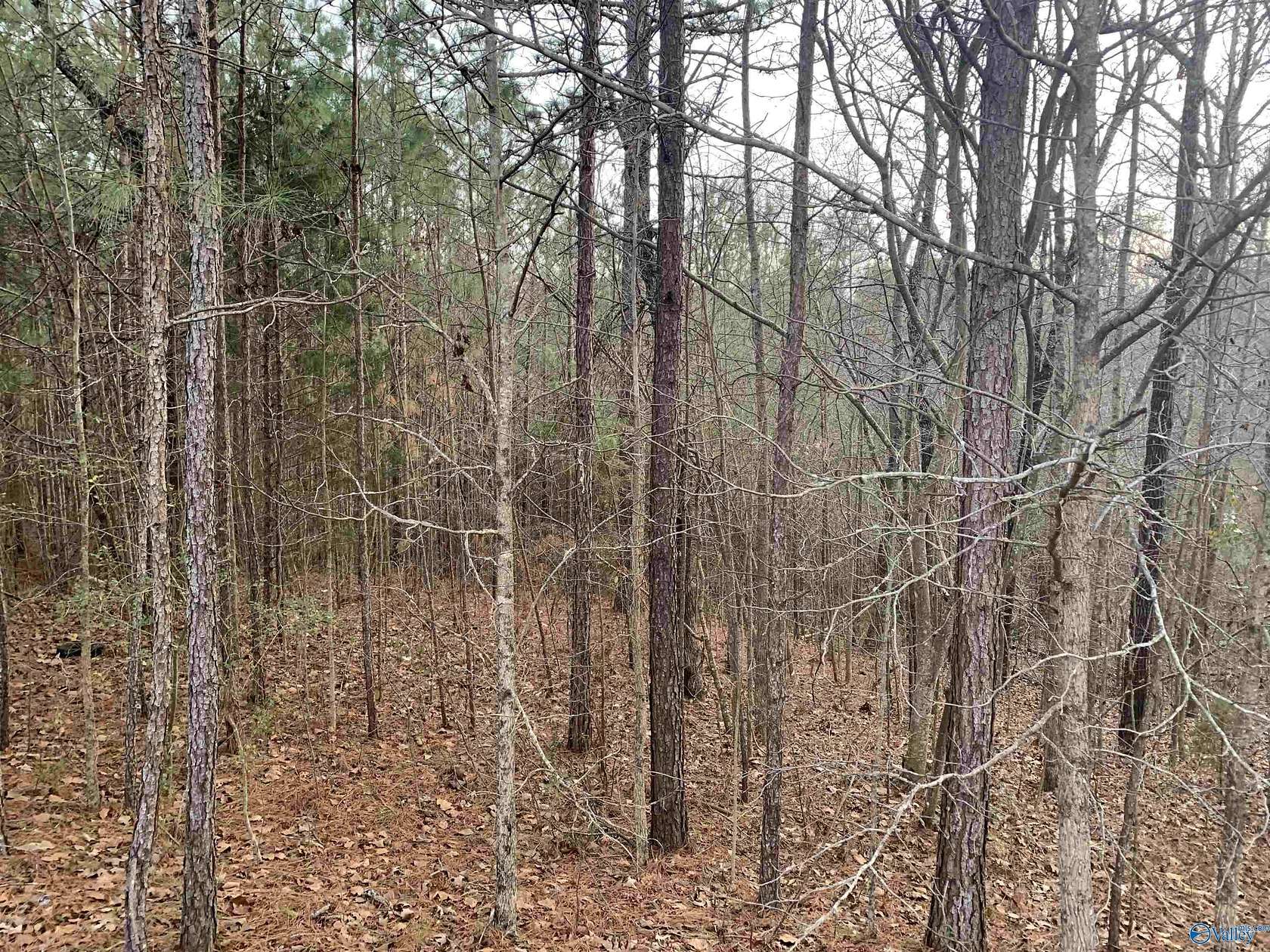 6.5 Acres of Residential Land for Sale in Anniston, Alabama