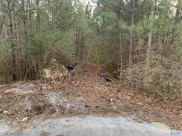 6.5 Acres of Residential Land for Sale in Anniston, Alabama