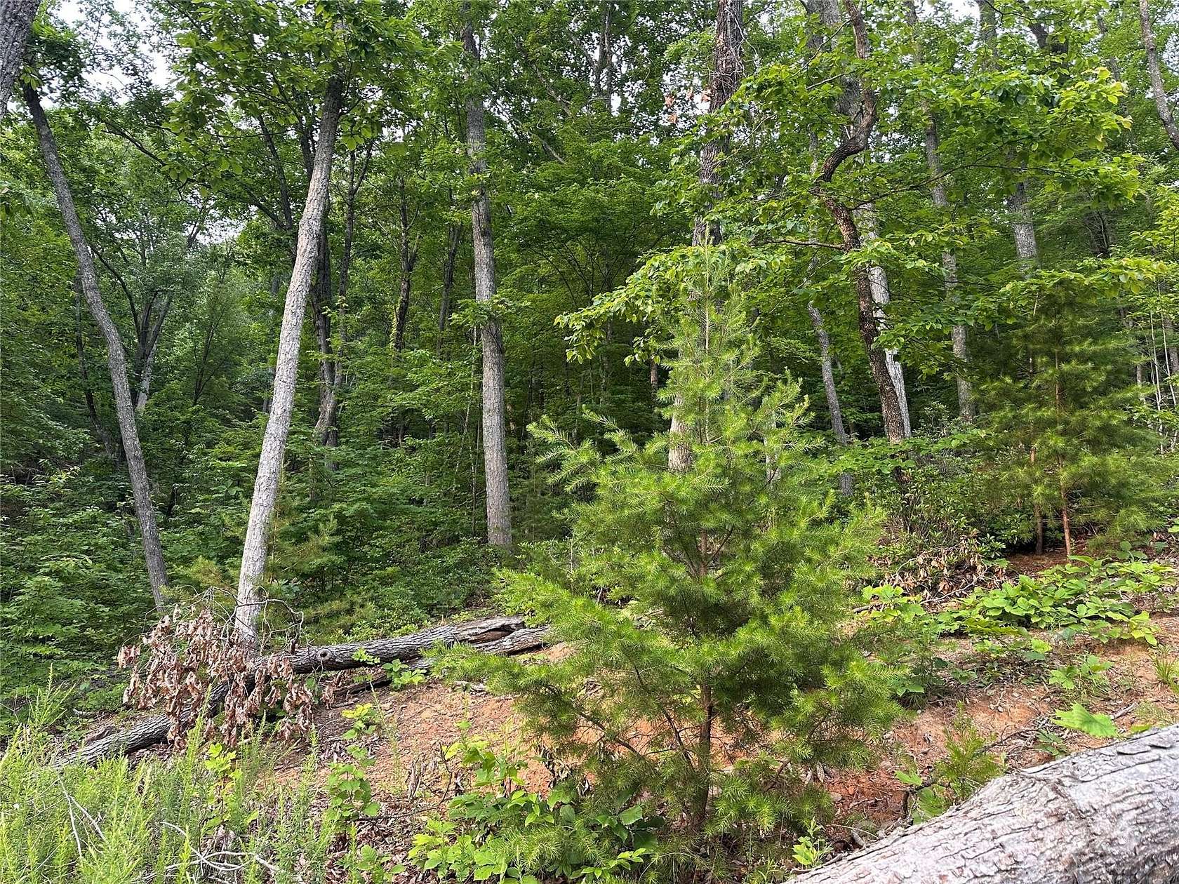 1.5 Acres of Residential Land for Sale in Lake Lure, North Carolina