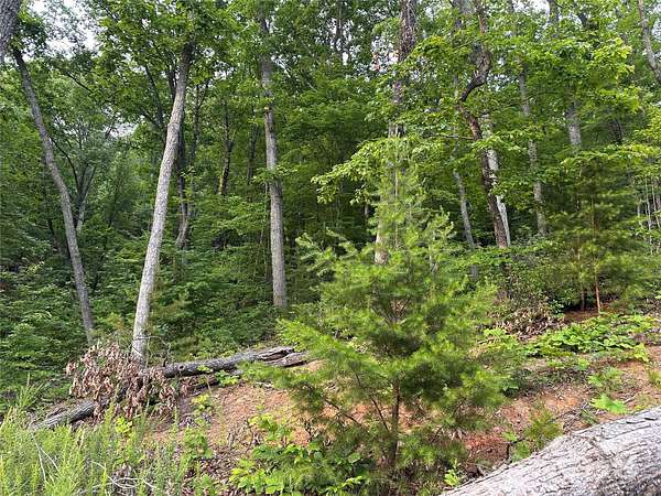 1.5 Acres of Residential Land for Sale in Lake Lure, North Carolina