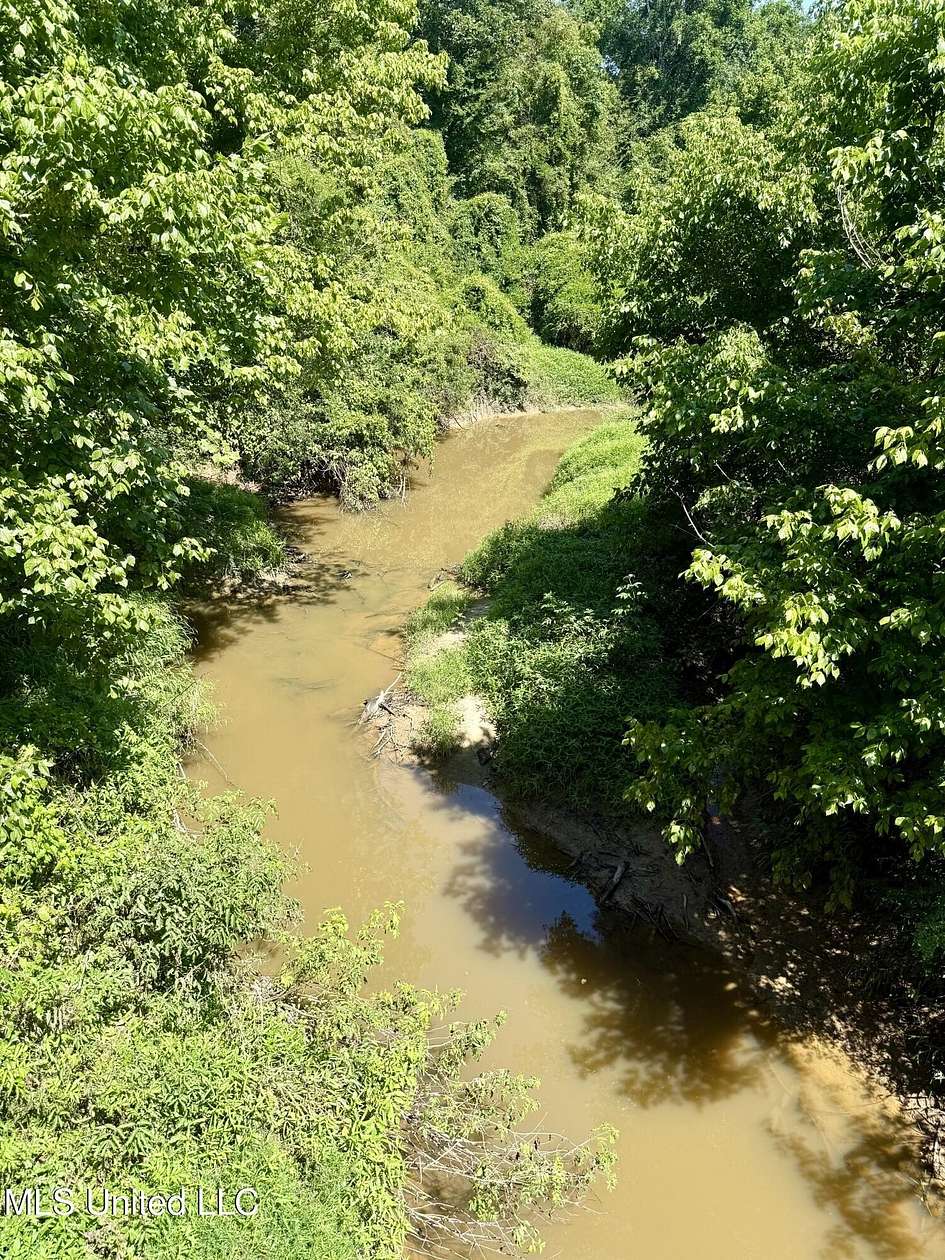 46.9 Acres of Land for Sale in Wesson, Mississippi