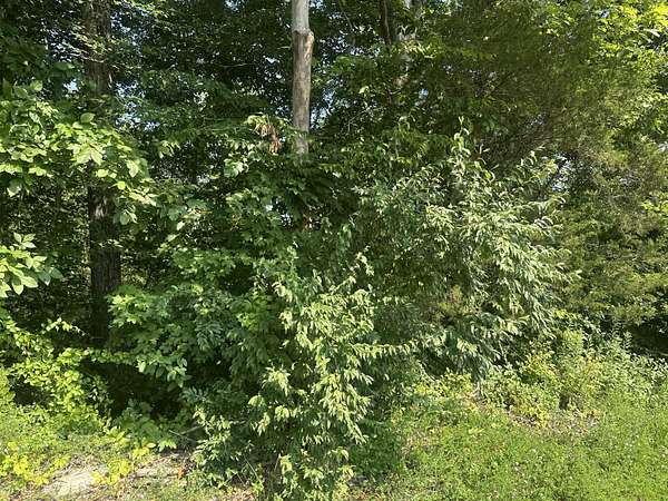 1 Acre of Land for Sale in Celina, Tennessee