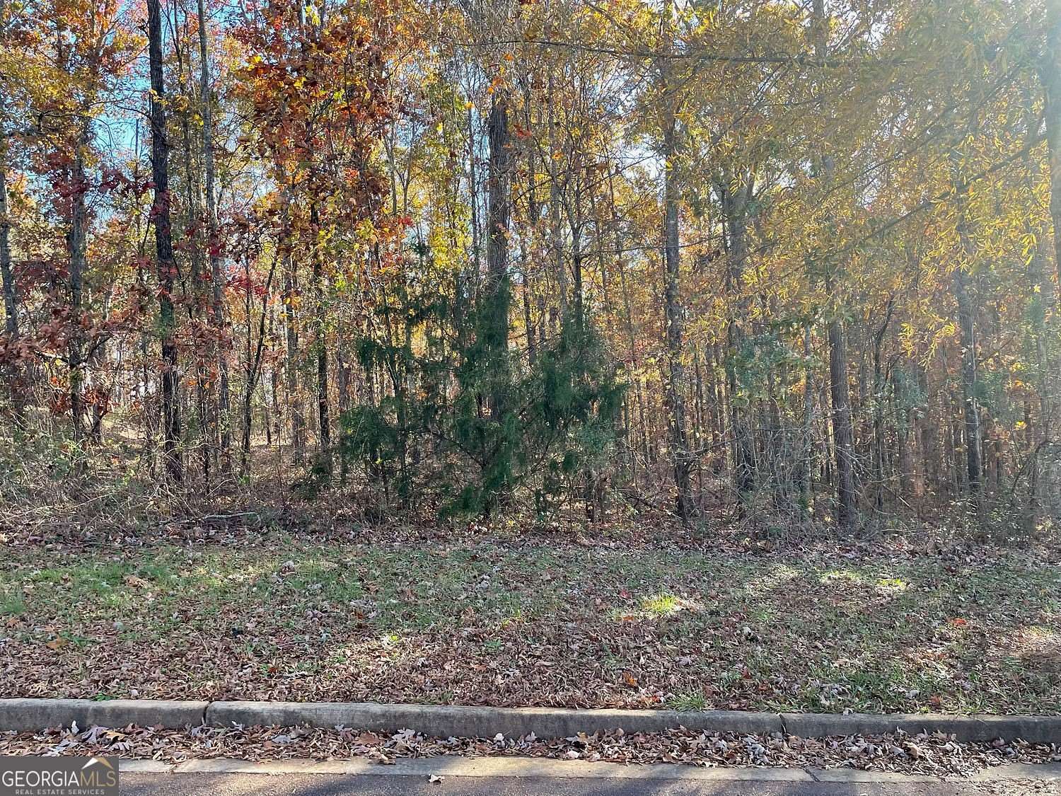 1 Acre of Land for Sale in Griffin, Georgia