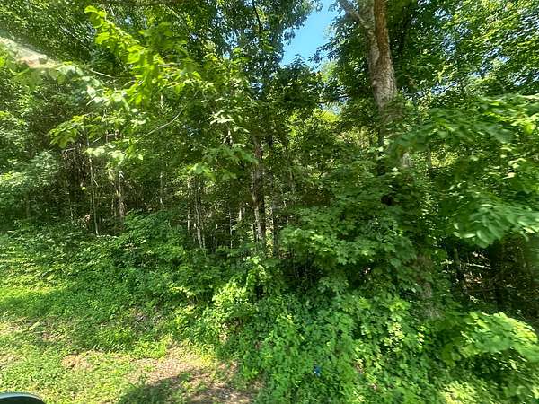 2 Acres of Land for Sale in Celina, Tennessee